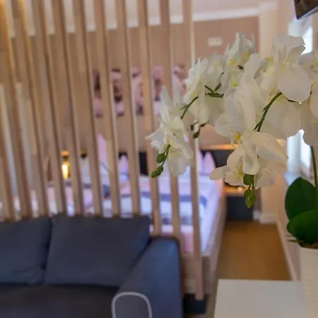 Kimi's House - Appartamento Burg (Bernkastel-Wittlich)