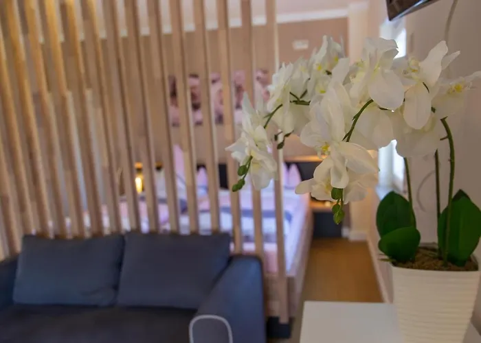 Kimi's House - Appartamento Burg (Bernkastel-Wittlich)