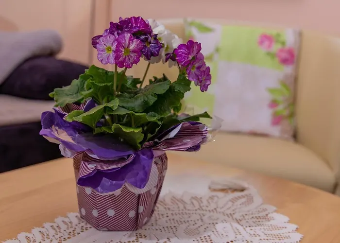 Lägenhet Kimi's House - *